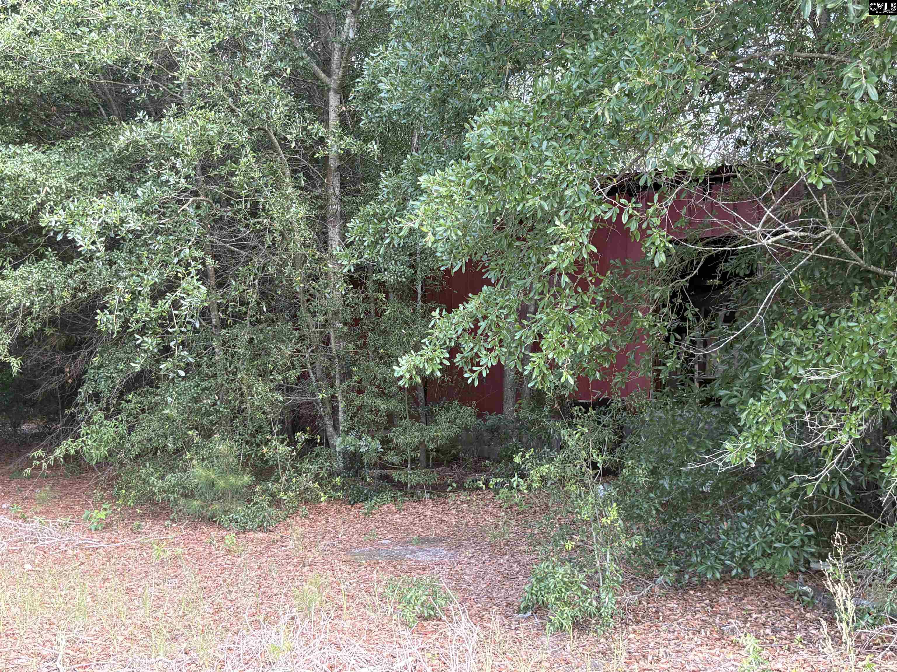 545 Flinns Road Hartsville, SC 29550 - Photo 8 of 14