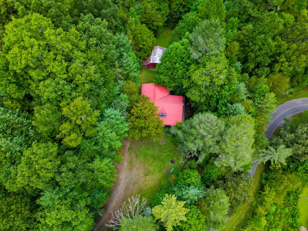 335 Davis Creek Road Murphy, NC 28906 - Photo 3 of 20