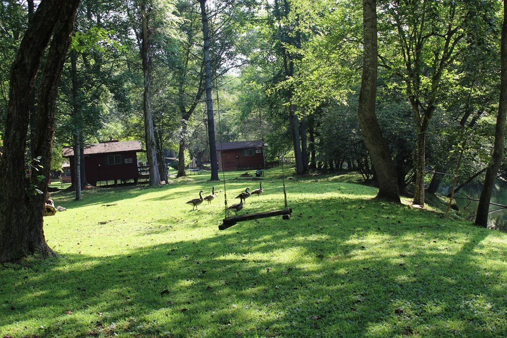 1345 Hilltop Road Murphy, NC 28906 - Photo 14 of 62