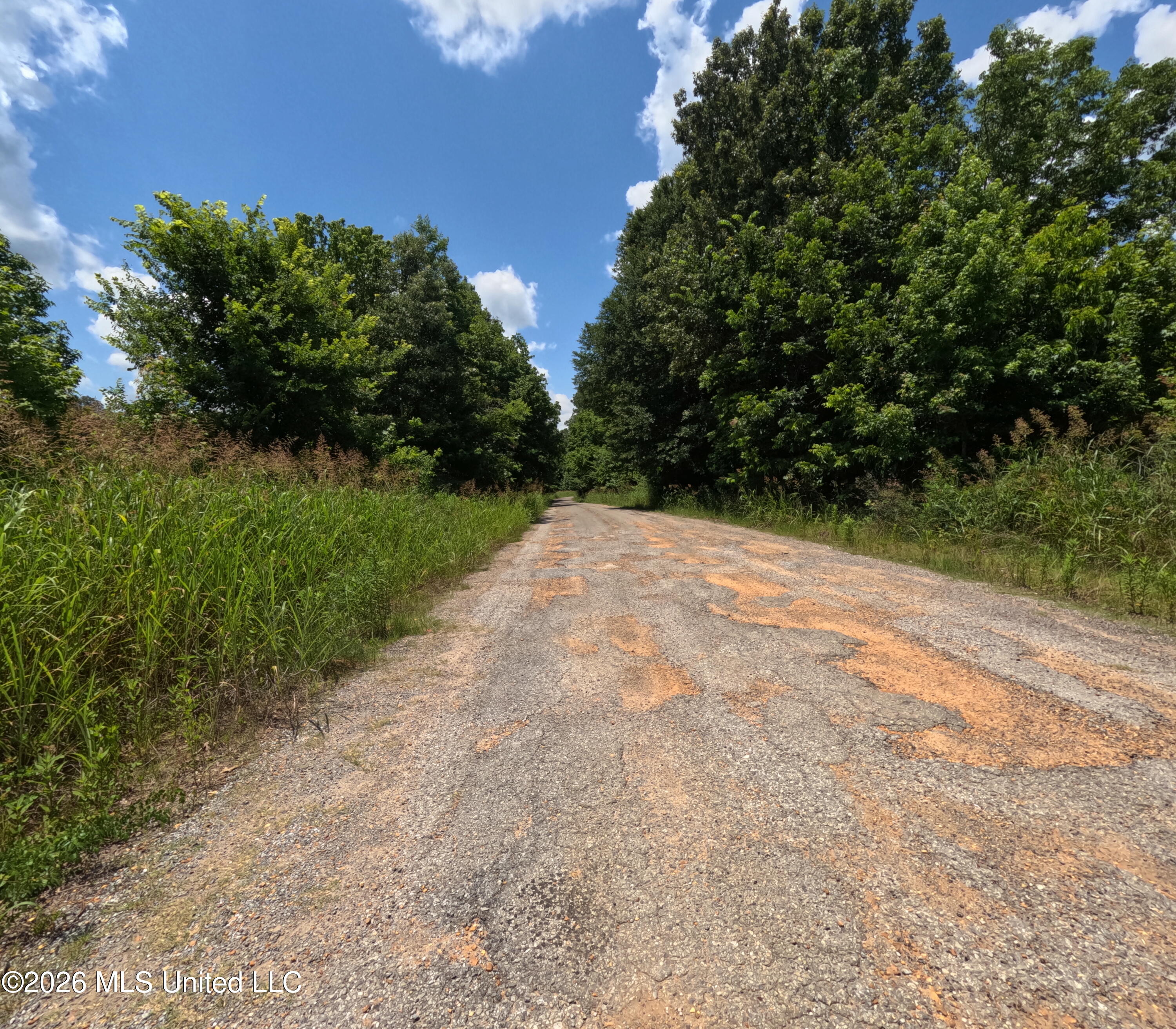 Old Port Edwards, MS 39066 - Photo 14 of 65 GOPR2270