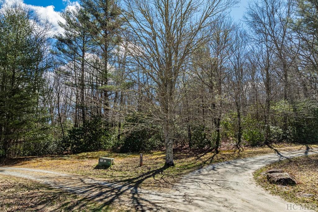 53 Timber Ridge Drive Sylva, NC 28779 - Photo 23 of 40 Gallery Image 23