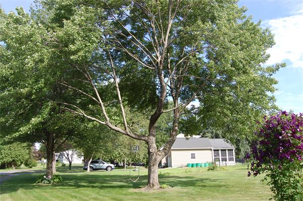 5 Juniper Brook Road Northborough, MA 01532 - Photo 2 of 16 Gallery Image 2