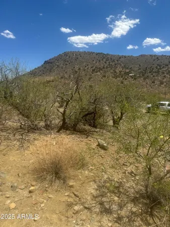 a view of a dry yard with wooden fence