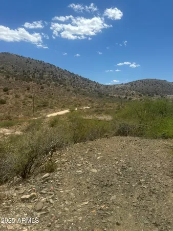 a view of a dry yard