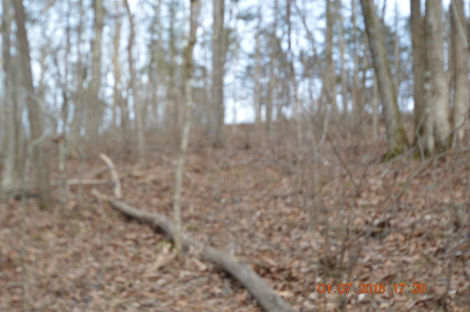 1290 Dennis Road, Unit 3 Lawrenceburg, KY 40342 - Photo 71 of 76 Photo 71