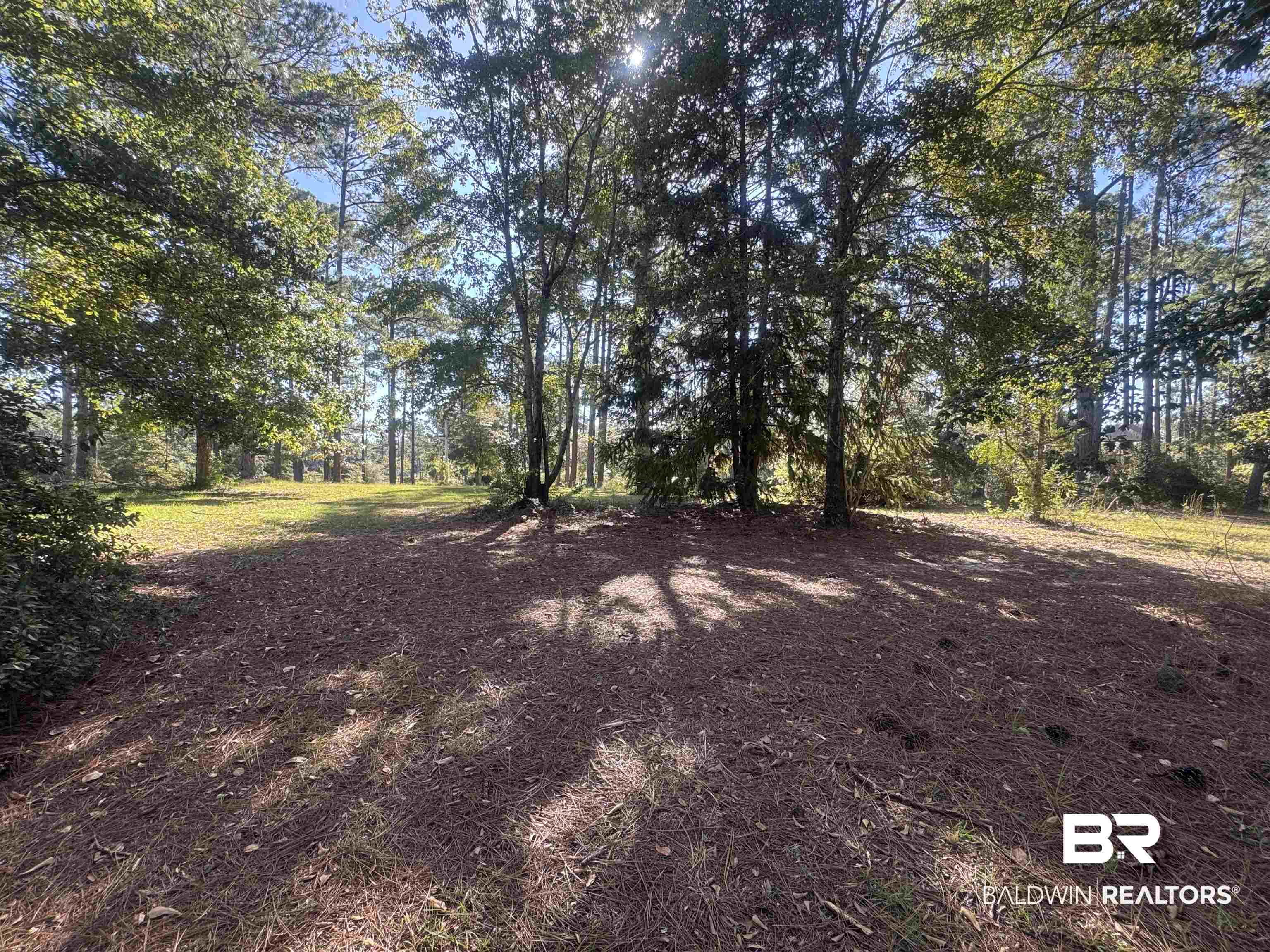 3097 Old Castleberry Road Brewton, AL 36426 - Photo 38 of 49 View of landscape