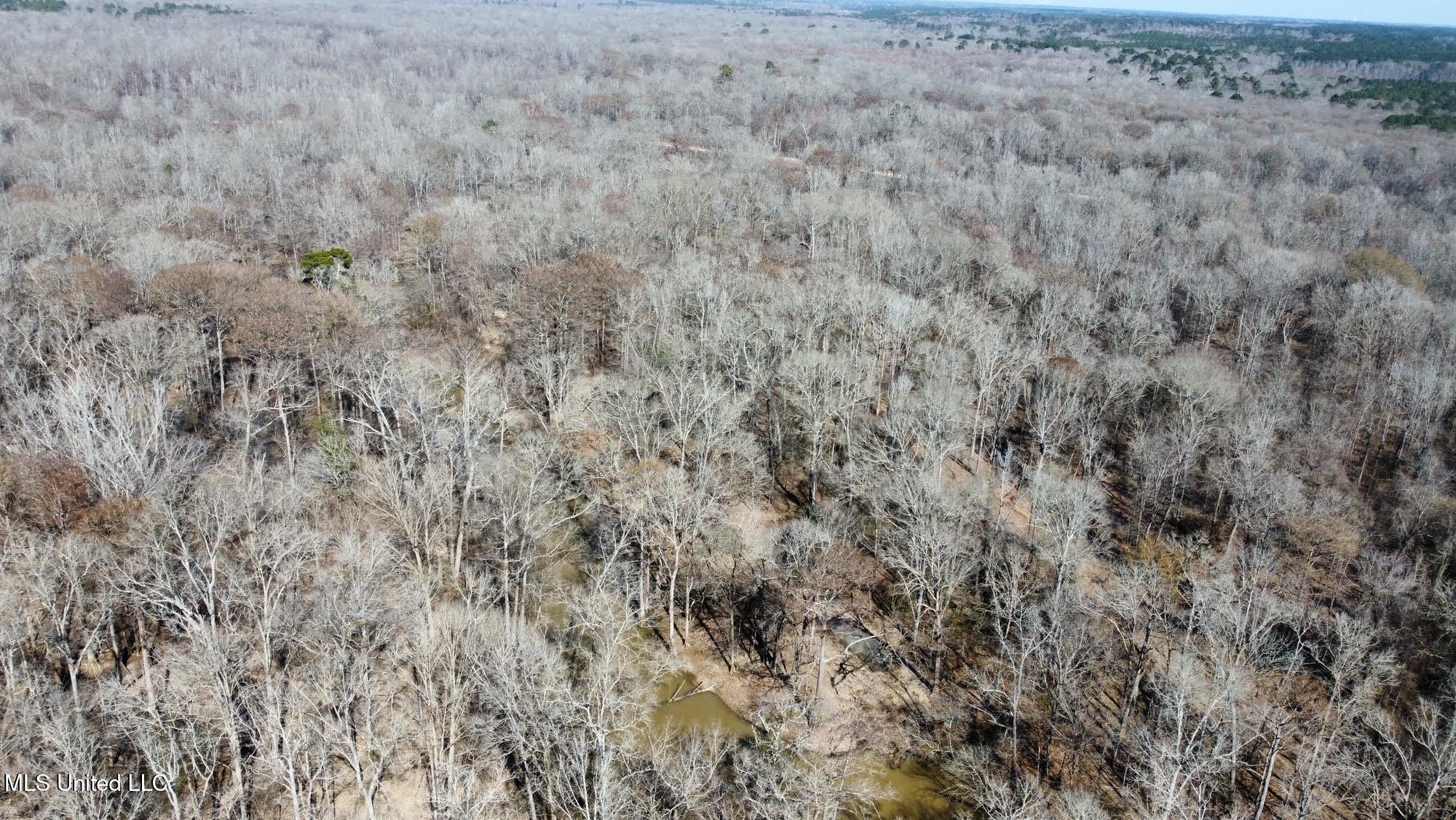 1 Evans Road Carthage, MS 39051 - Photo 60 of 149 82