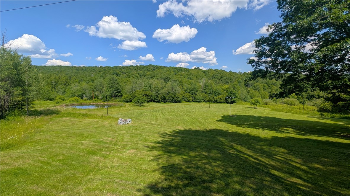 970 Clark Road Sidney Center, NY 13839 - Photo 21 of 48