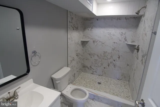 a bathroom with a shower and a toilet
