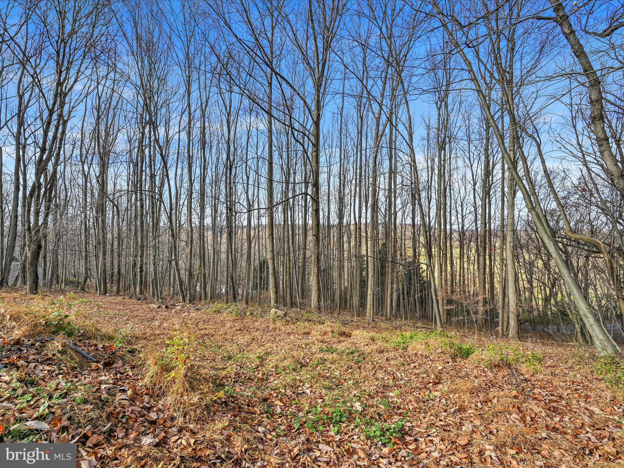 55 Fitzkee Road Conestoga, PA 17516 - Photo 31 of 33 Rear