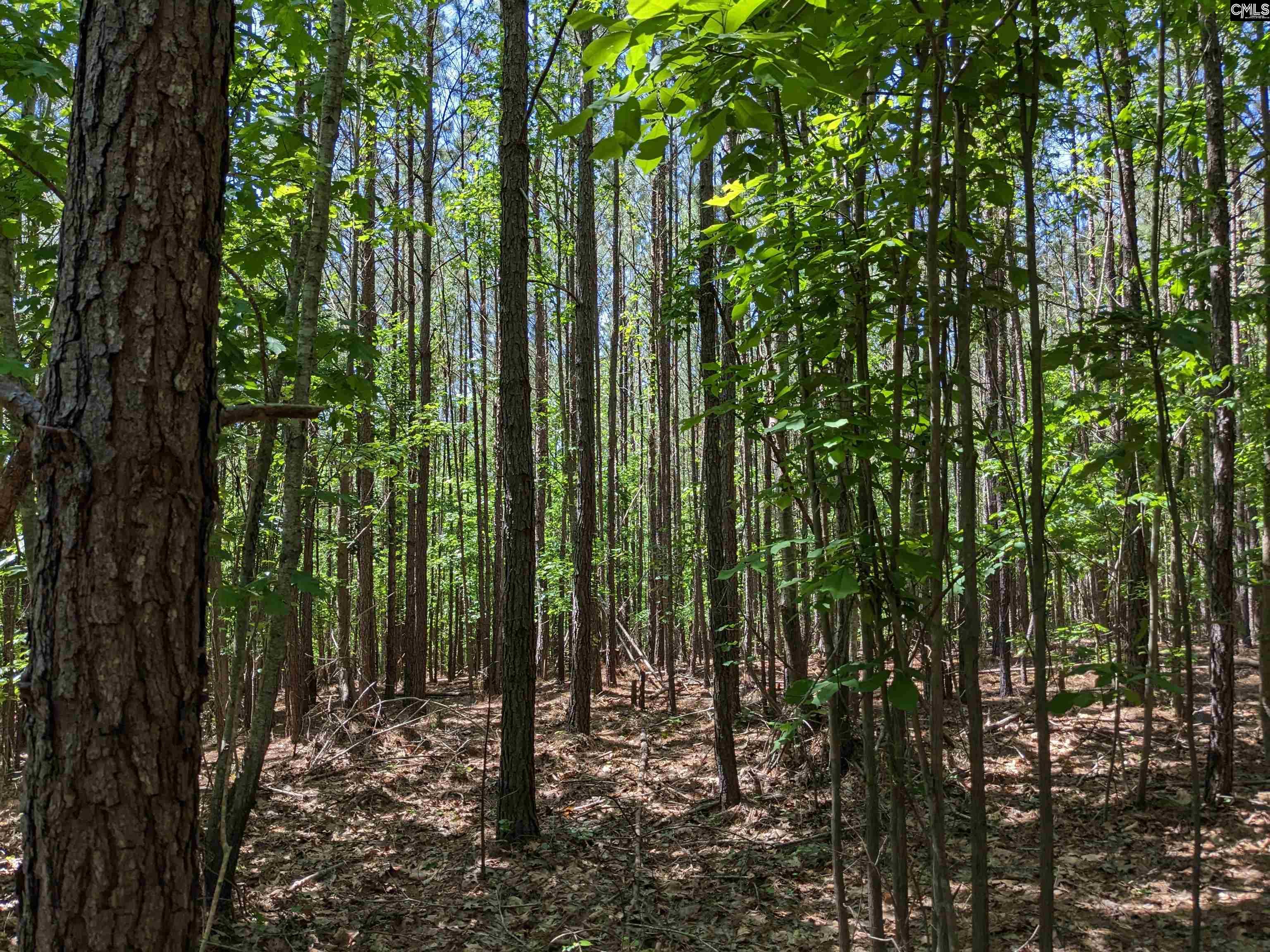 Jewel Drive Ridgeway, SC 29130 - Photo 16 of 20