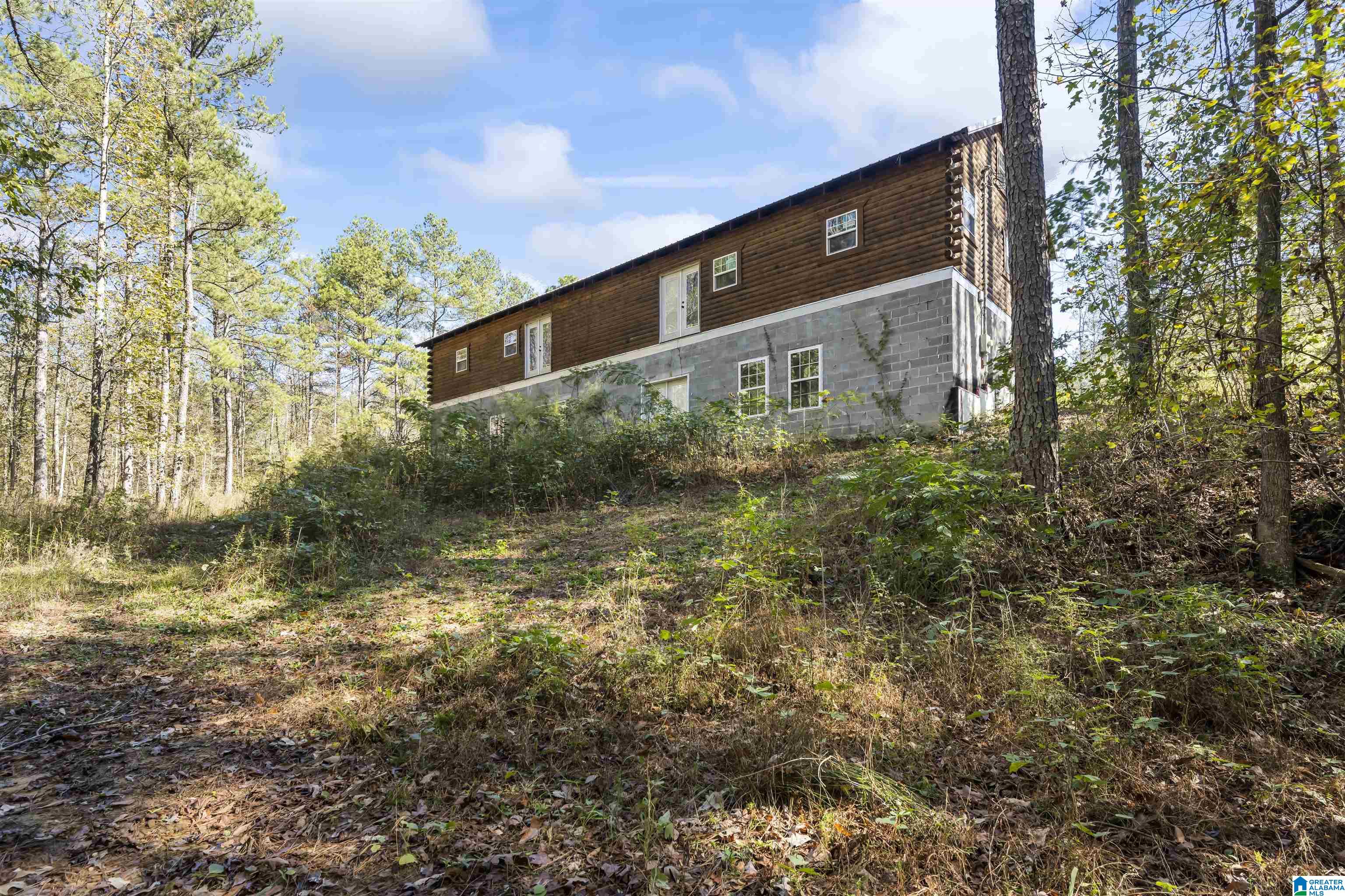 1078 Chamblee Mill Road Blountsville, AL 35031 - Photo 8 of 25