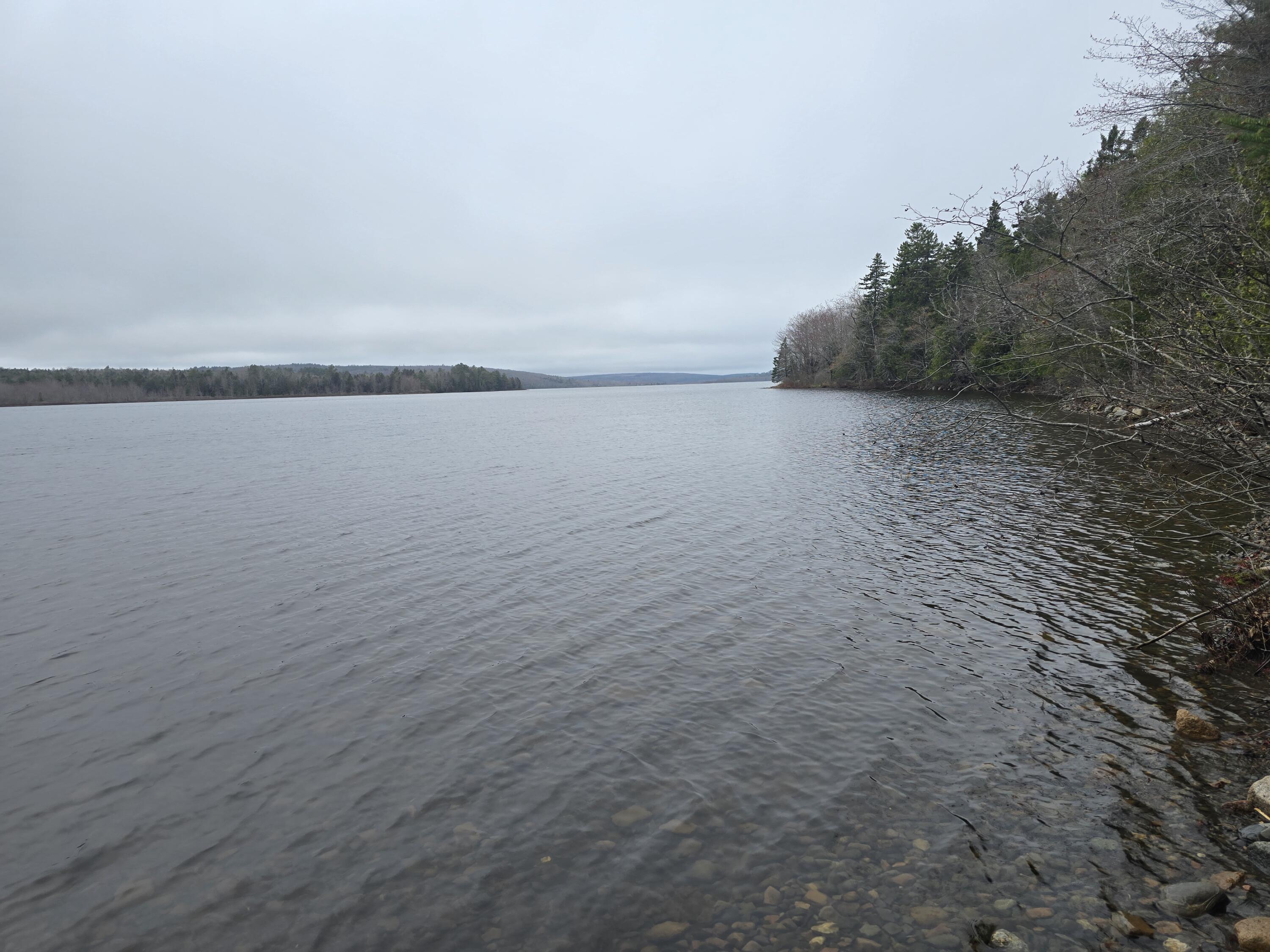 Lot C Lot C Deer Point Road Robbinston, ME 04671 - Photo 2 of 5 20250507_131352