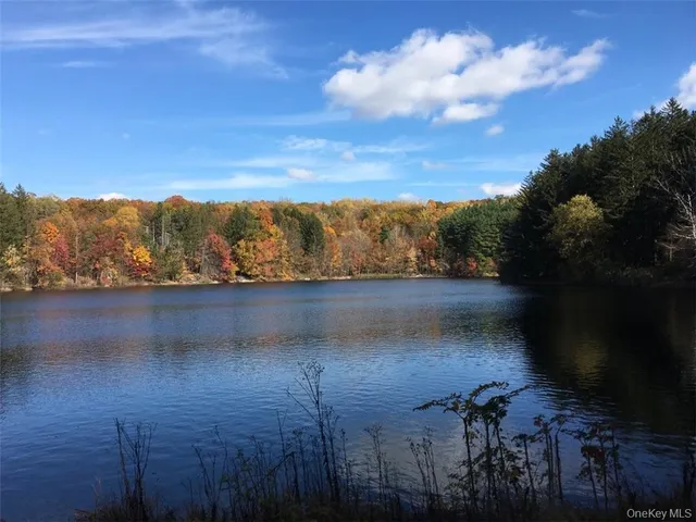 a view of lake with mountain
