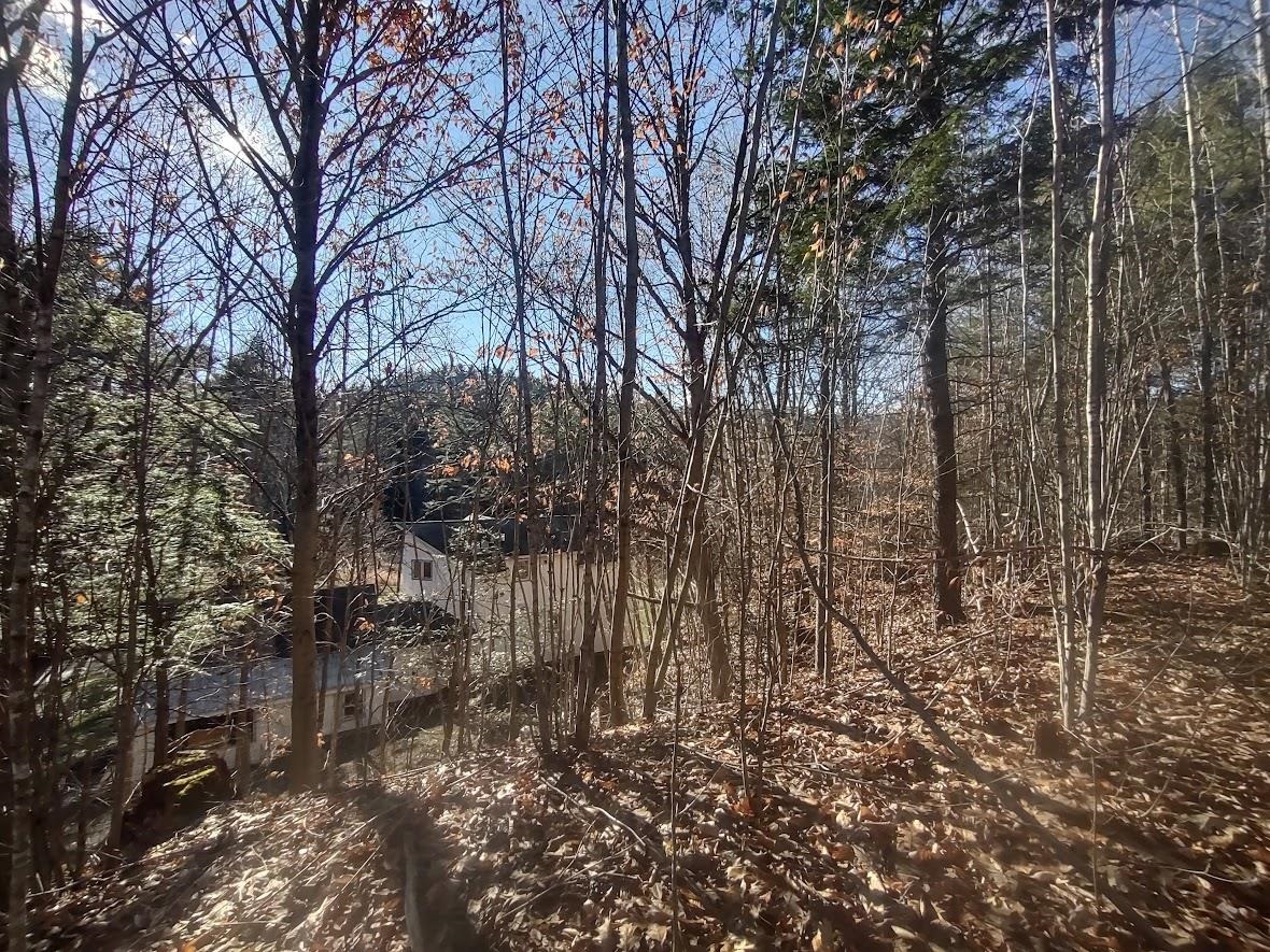 38 Pond Brook Road Wentworth, NH 03282 - Photo 36 of 60