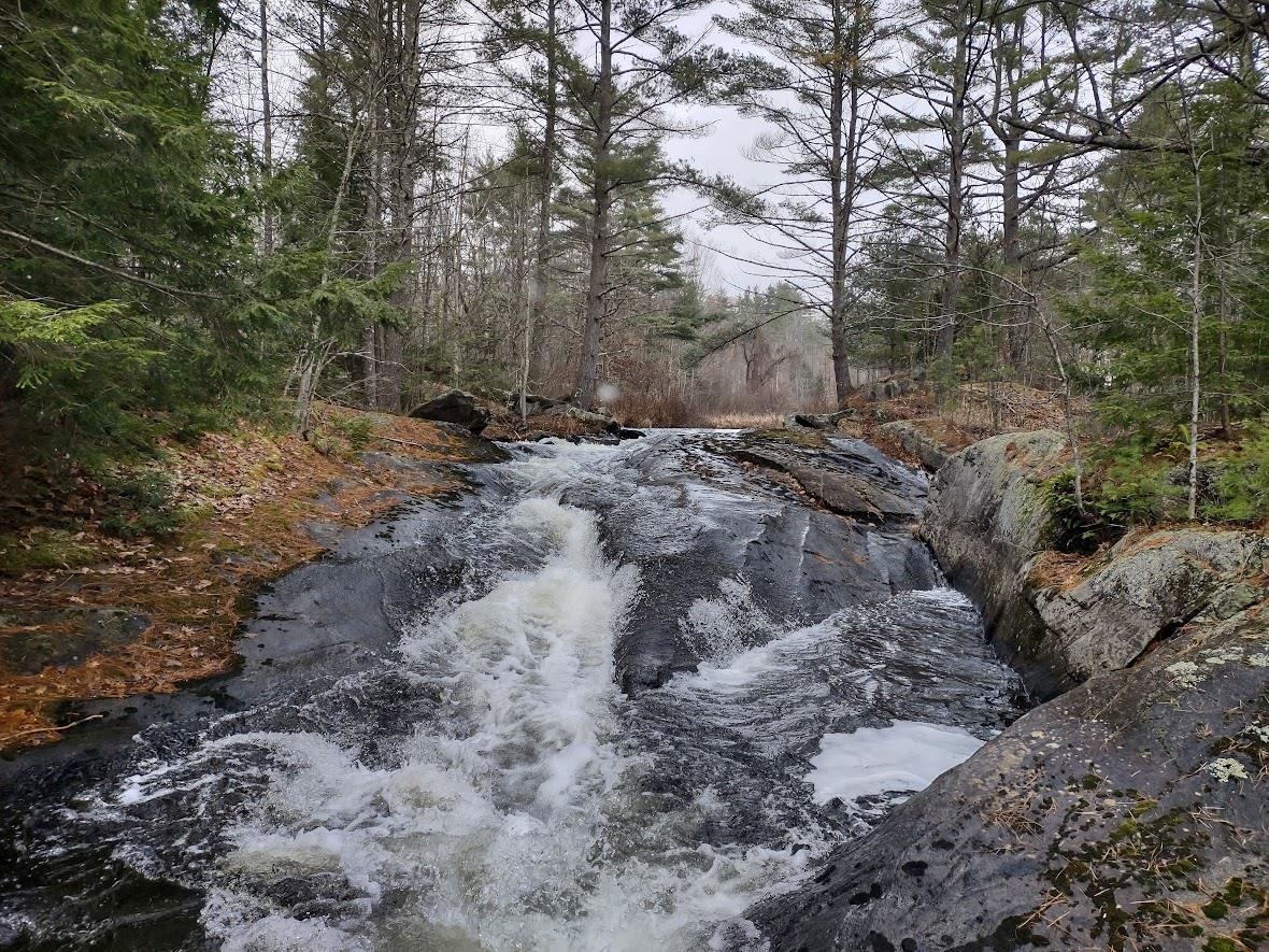 38 Pond Brook Road Wentworth, NH 03282 - Photo 46 of 60