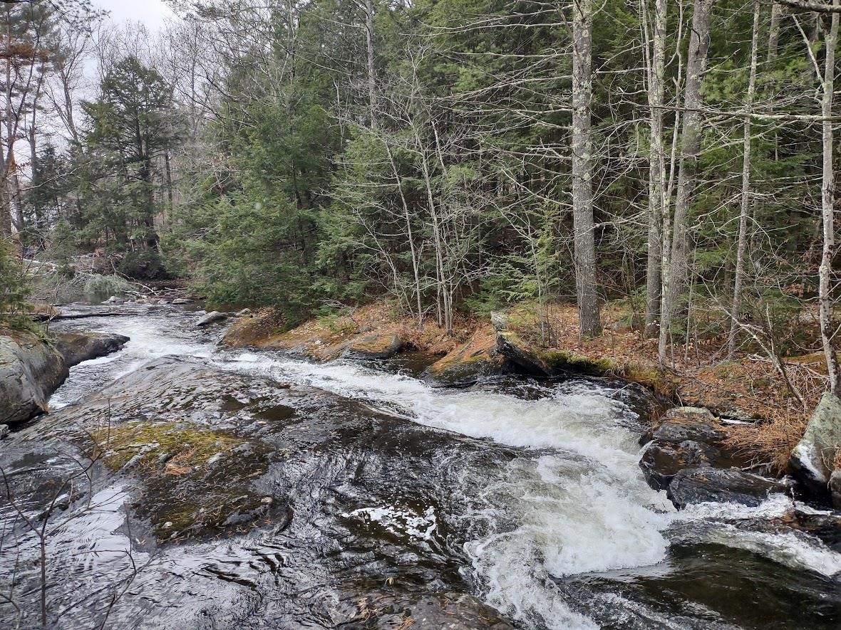 38 Pond Brook Road Wentworth, NH 03282 - Photo 47 of 60