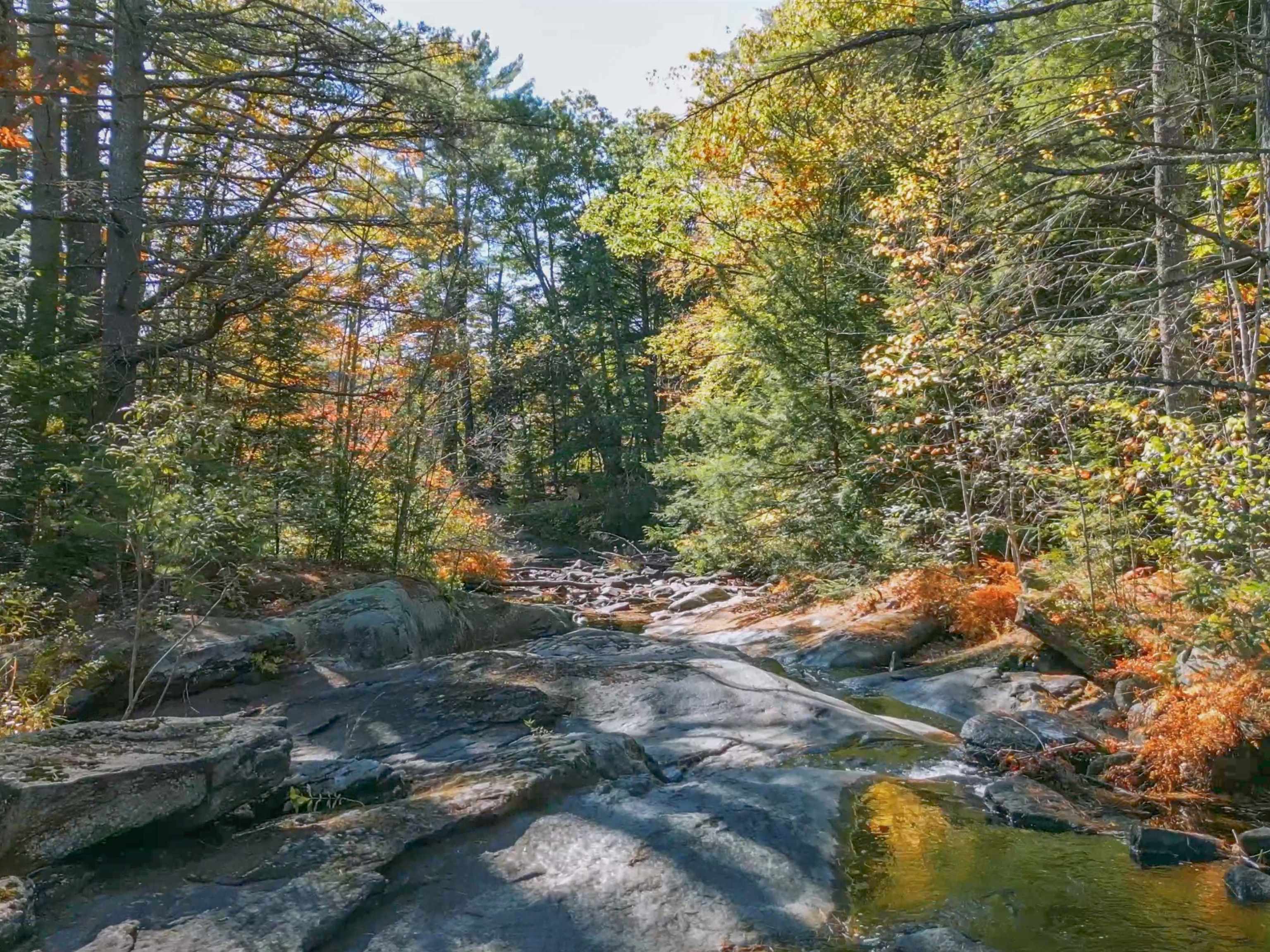 38 Pond Brook Road Wentworth, NH 03282 - Photo 48 of 60