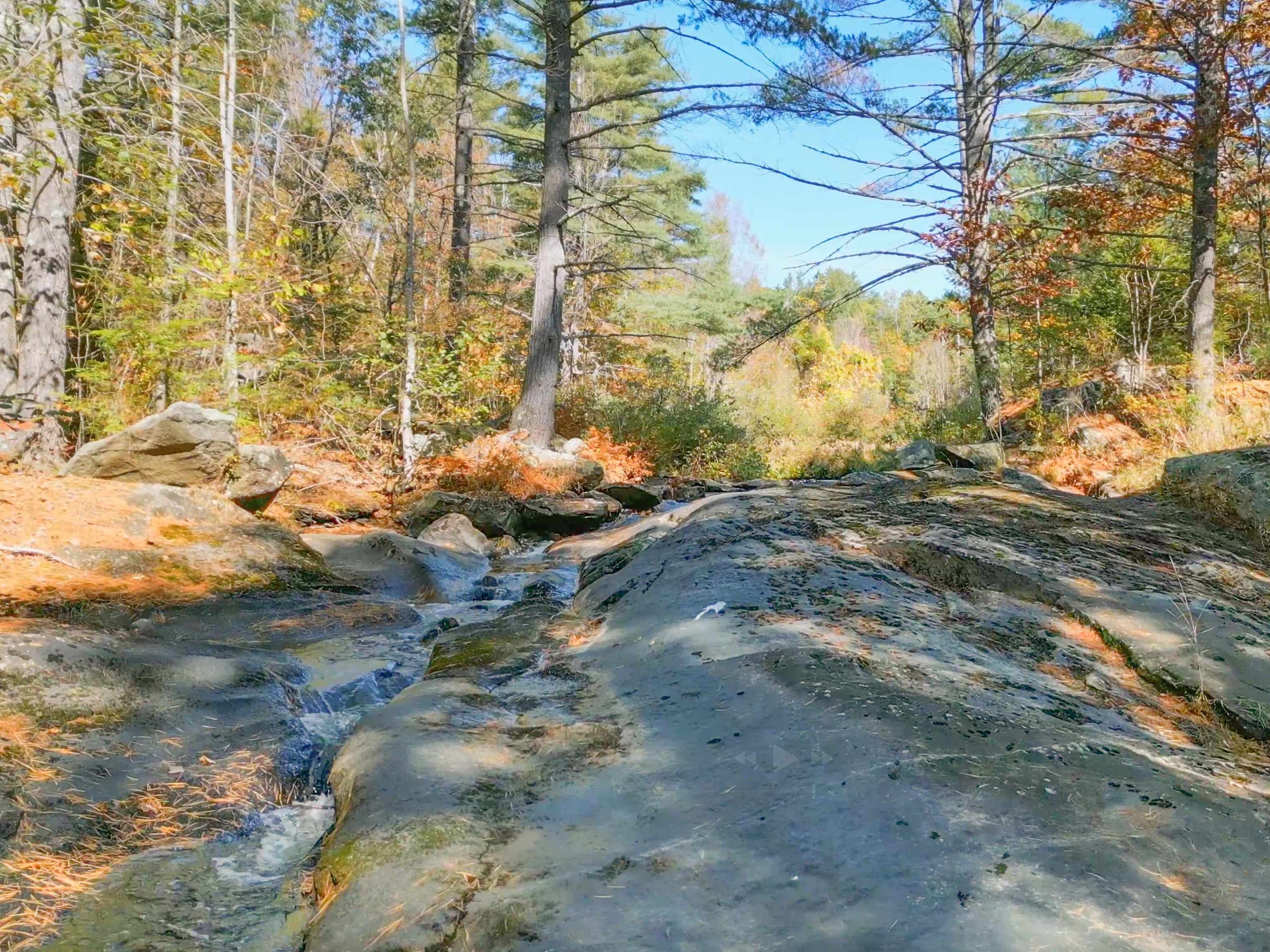 38 Pond Brook Road Wentworth, NH 03282 - Photo 49 of 60