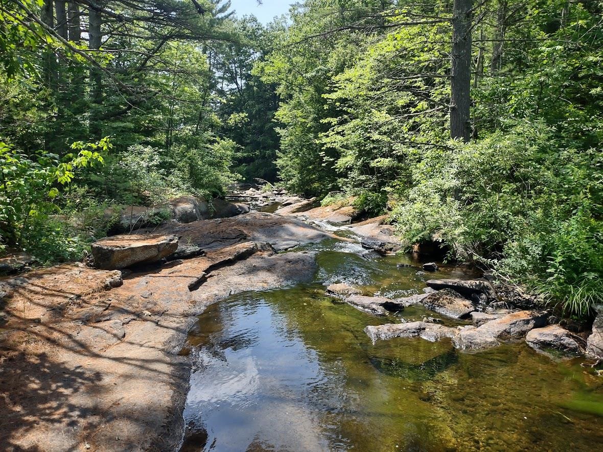 38 Pond Brook Road Wentworth, NH 03282 - Photo 51 of 60