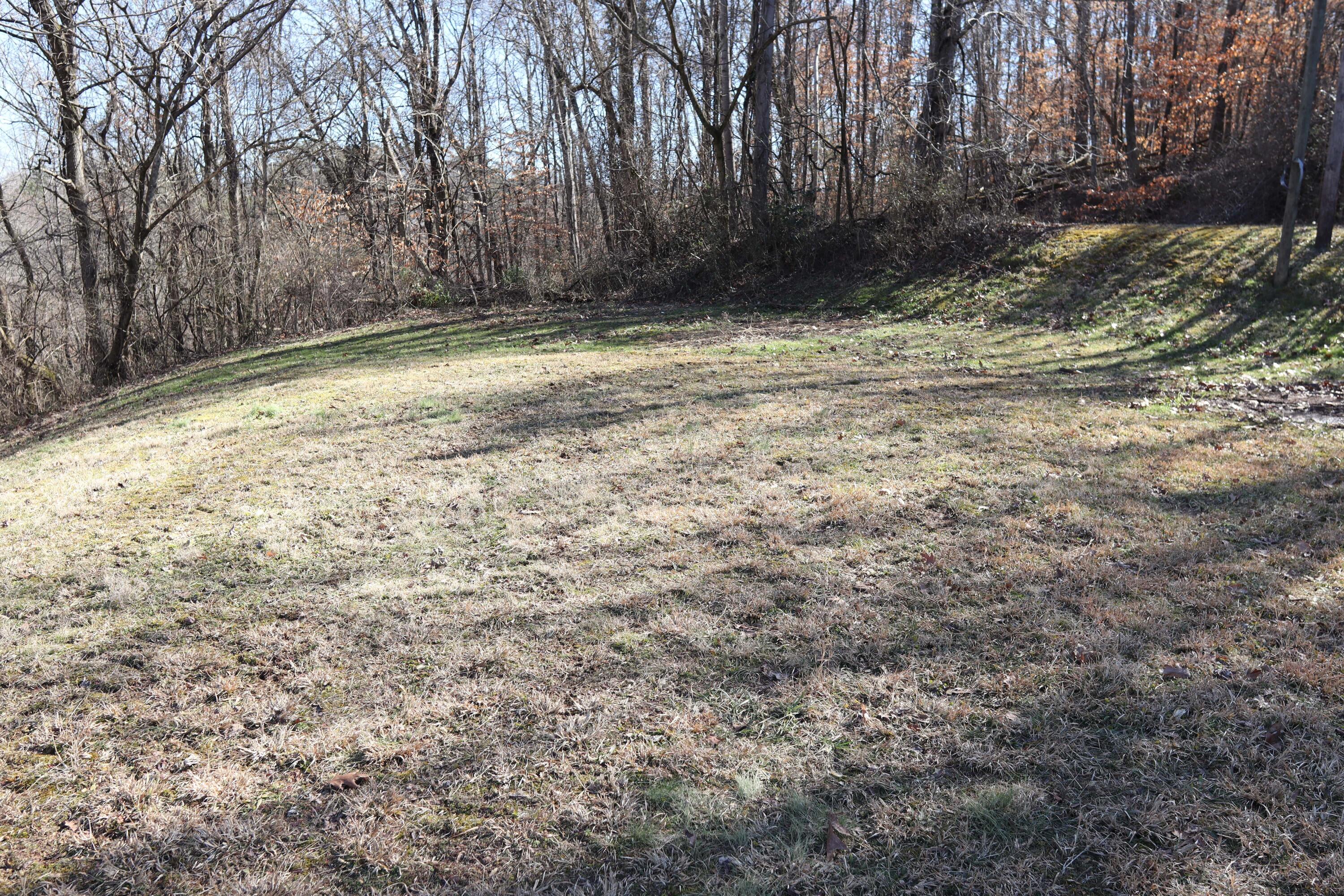 121 Robbins Road Harriman, TN 37748 - Photo 22 of 23 Side yard