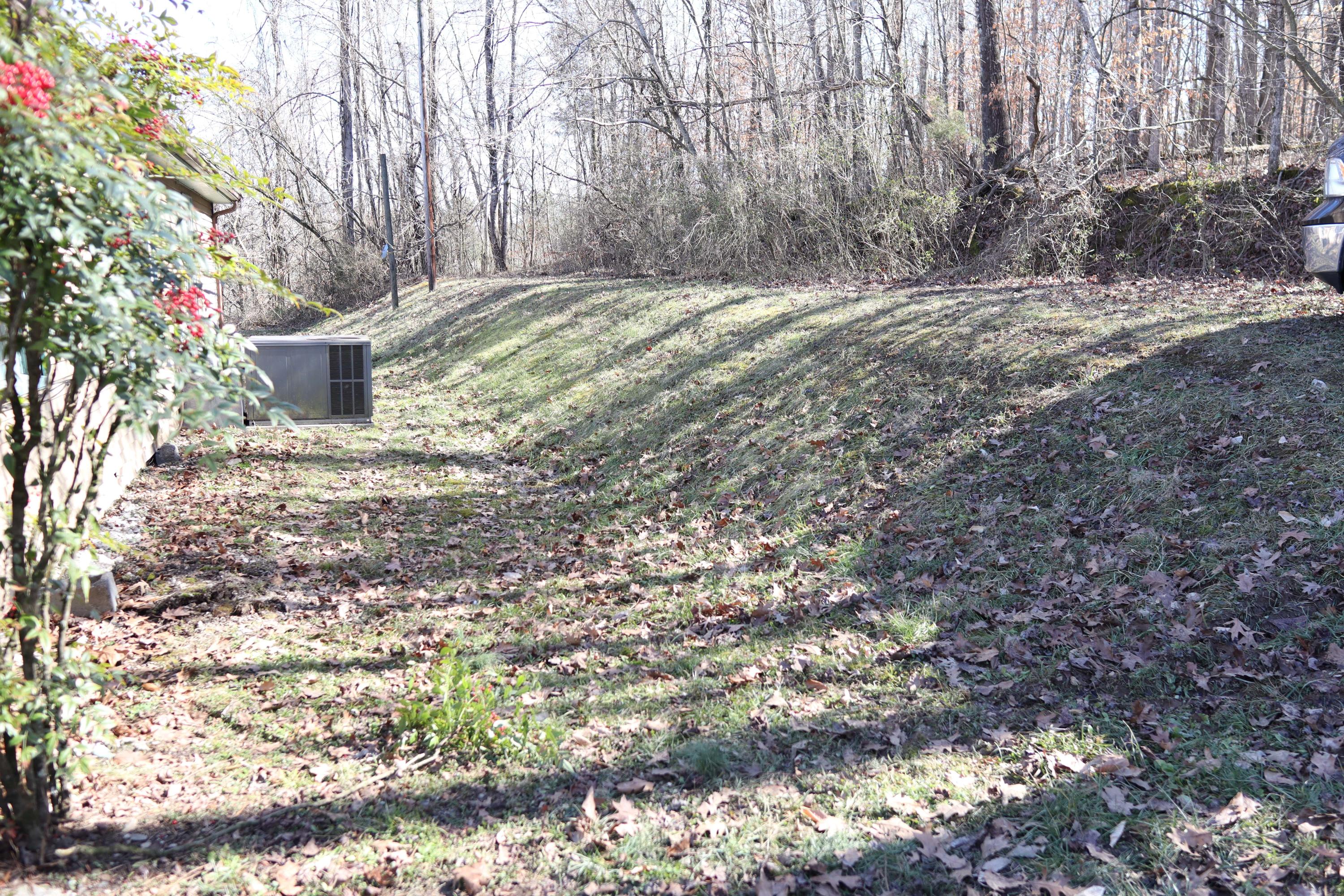 121 Robbins Road Harriman, TN 37748 - Photo 23 of 23 Back yard