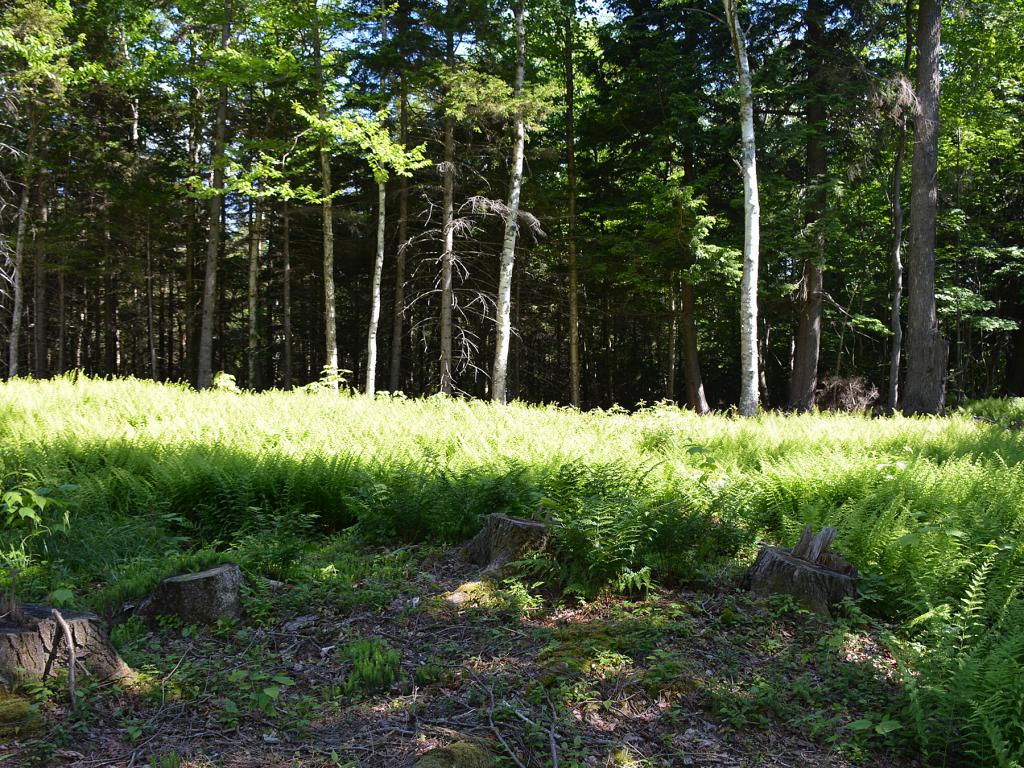 2 Slide Brook Road Waitsfield, VT 05673 - Photo 14 of 31 Gallery Image 14