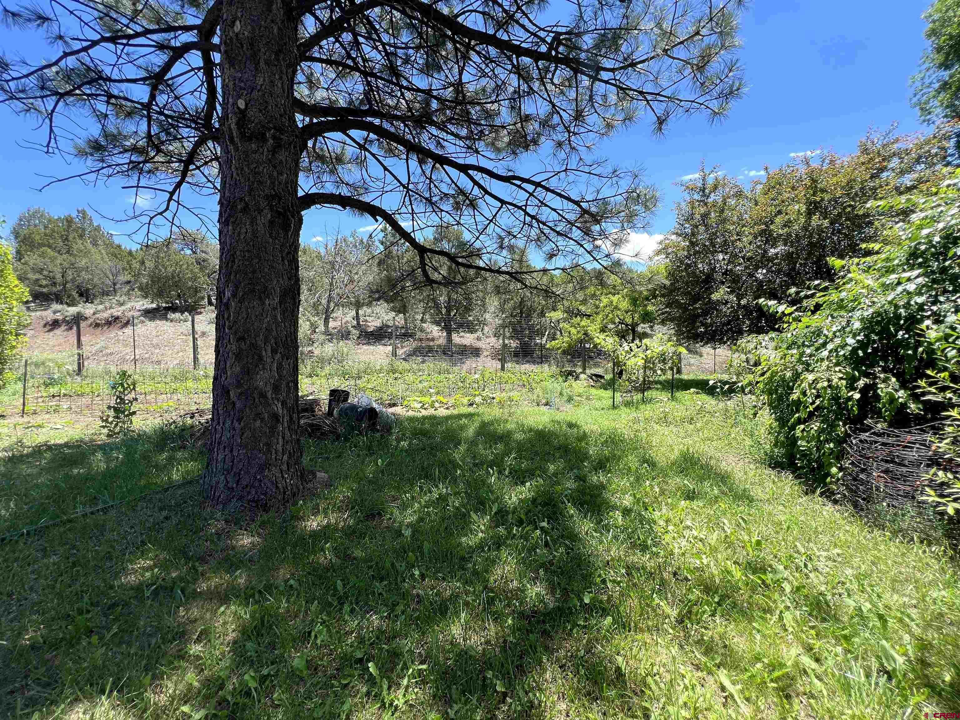 1648 Highway 151 Ignacio, CO 81137 - Photo 19 of 35