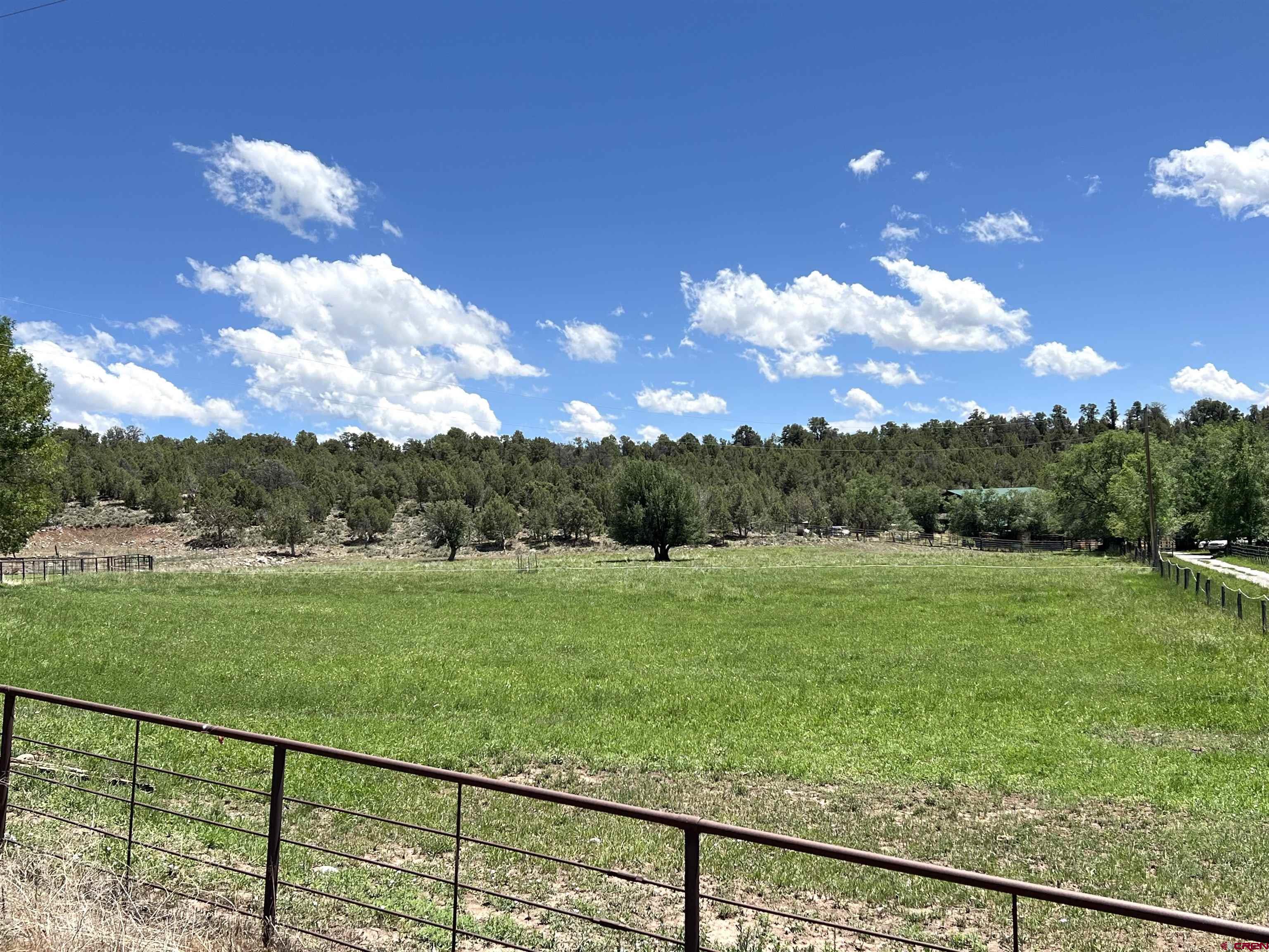 1648 Highway 151 Ignacio, CO 81137 - Photo 22 of 35