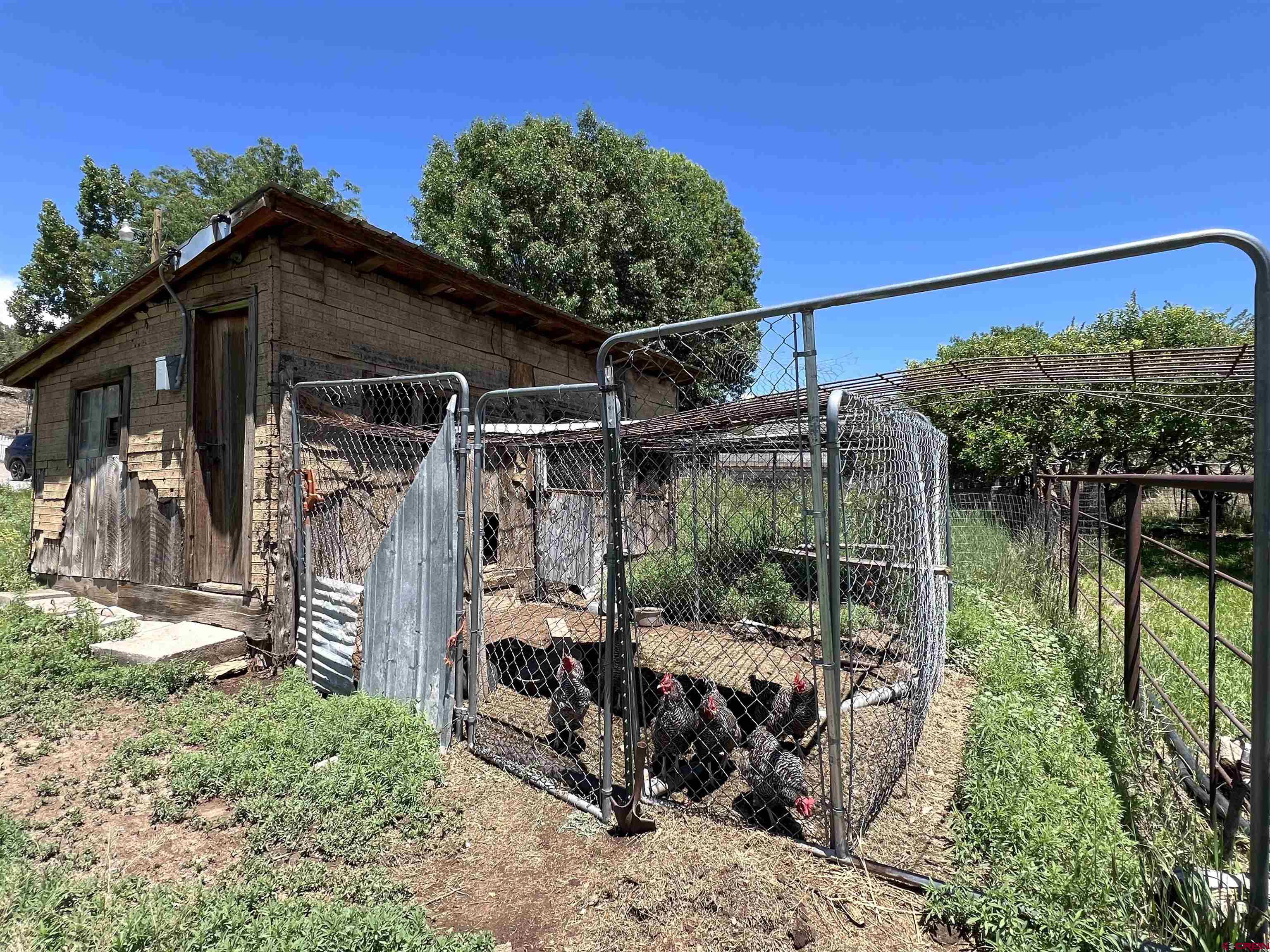 1648 Highway 151 Ignacio, CO 81137 - Photo 23 of 35 Chicken Coop
