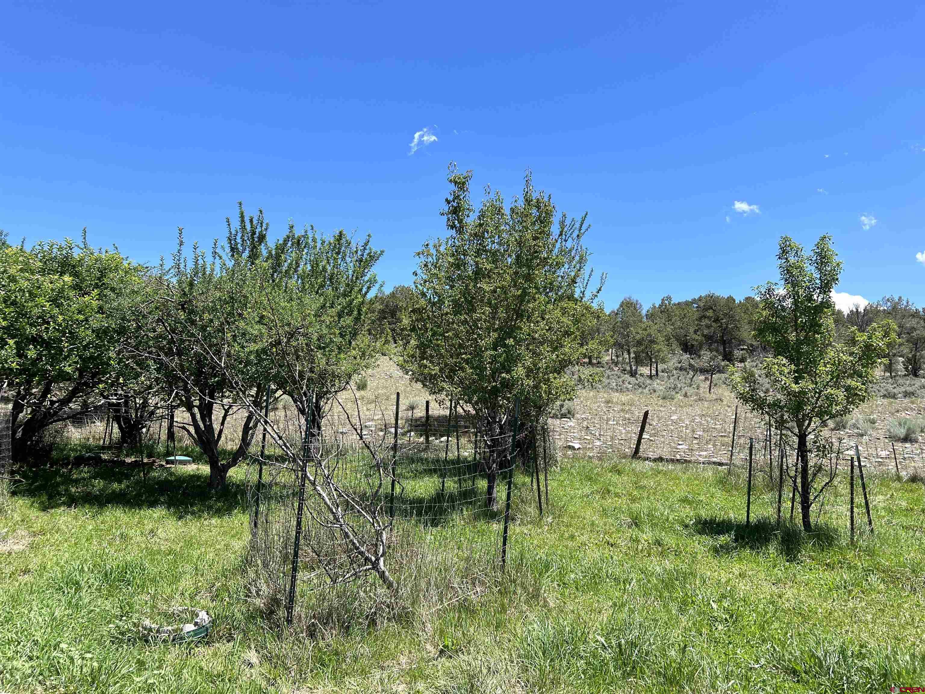 1648 Highway 151 Ignacio, CO 81137 - Photo 24 of 35