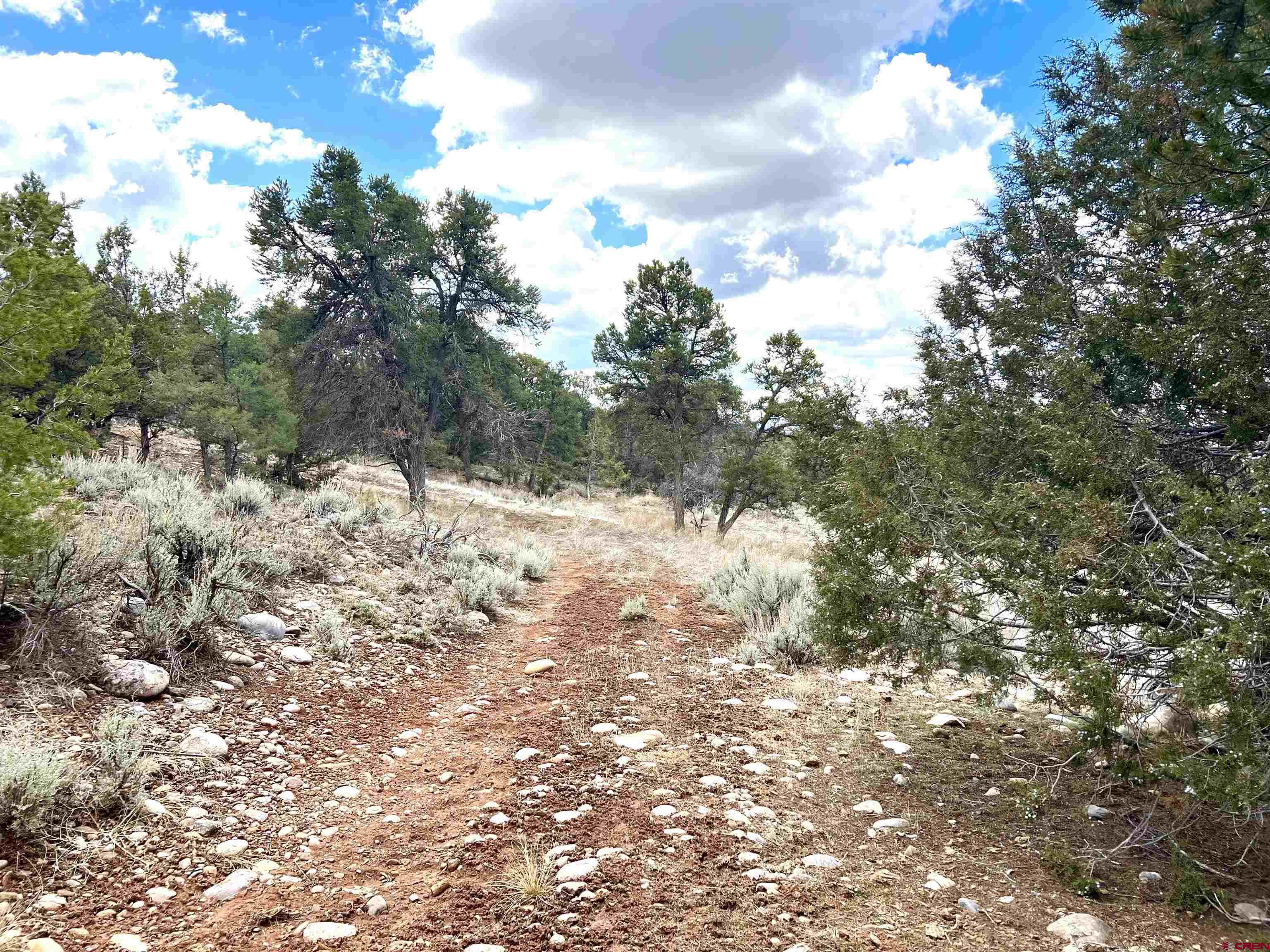 1648 Highway 151 Ignacio, CO 81137 - Photo 31 of 35 top of hill area
