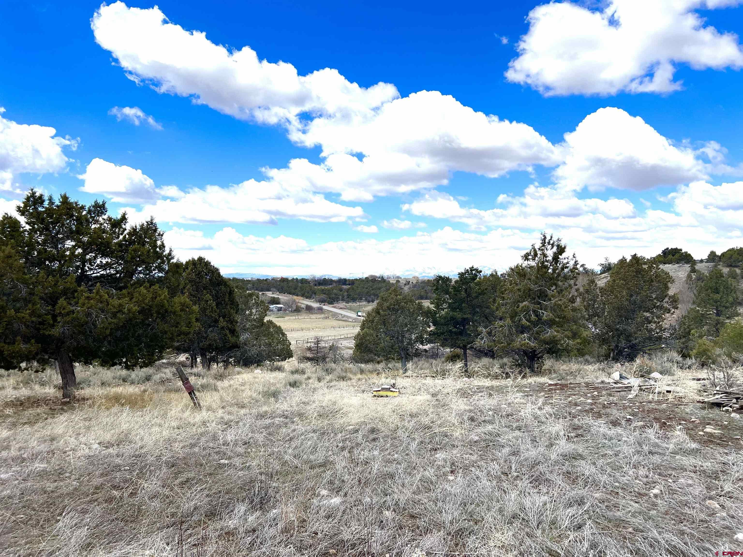 1648 Highway 151 Ignacio, CO 81137 - Photo 32 of 35 upper hill area
