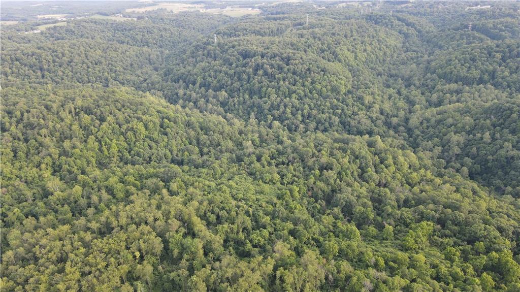 0 Fallen Timber Road Avella, PA 15312 - Photo 13 of 18