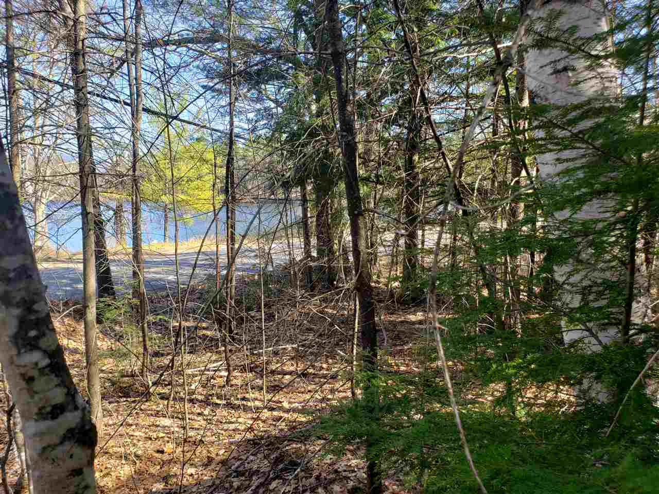 30 Little Pond Road Sandwich, NH 03227 - Photo 3 of 10