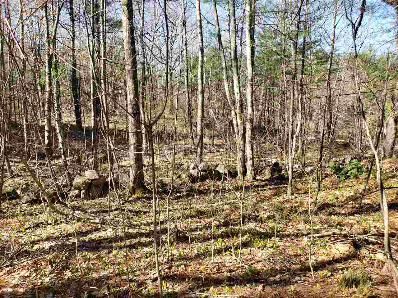 30 Little Pond Road Sandwich, NH 03227 - Photo 6 of 10