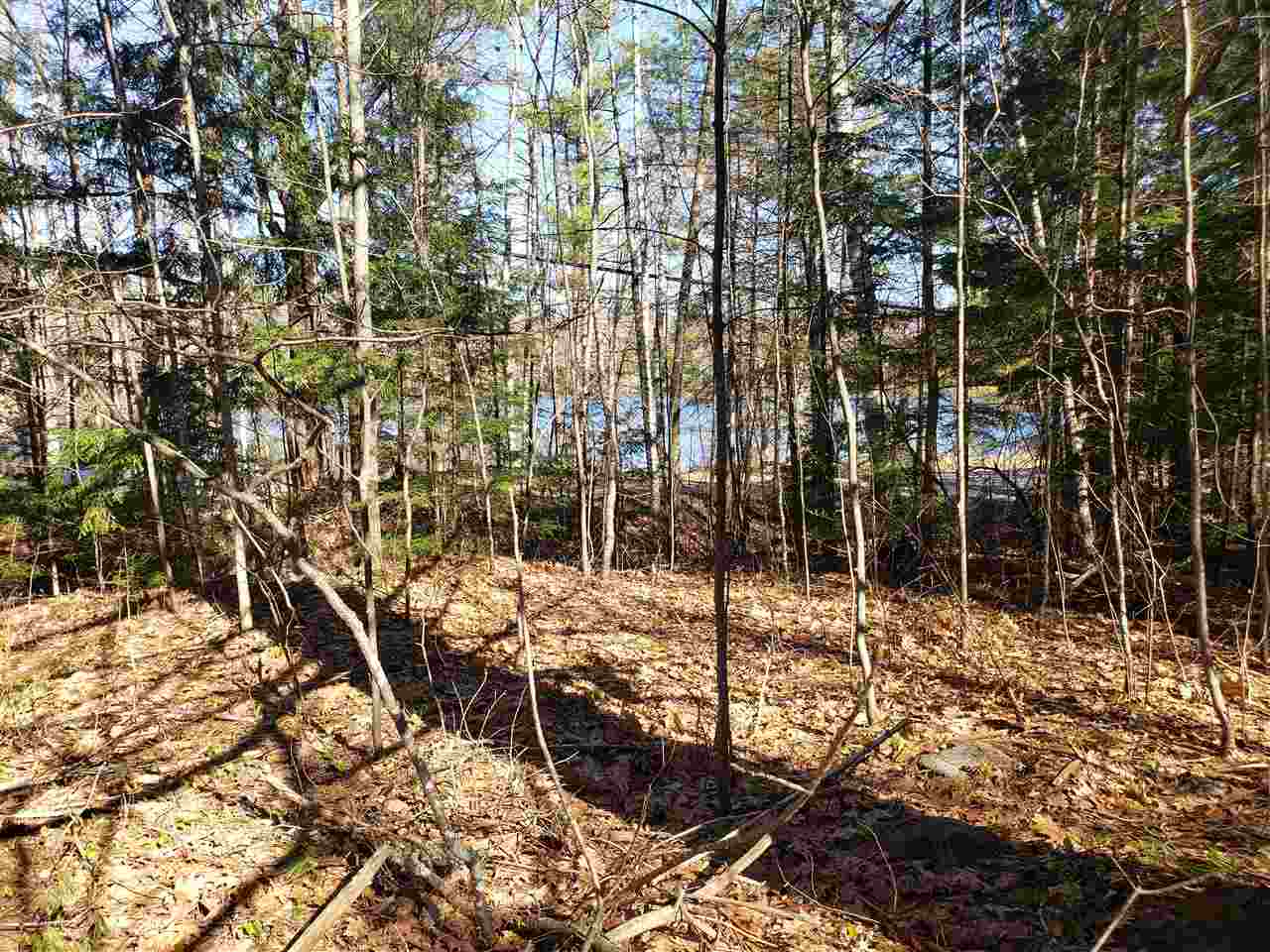30 Little Pond Road Sandwich, NH 03227 - Photo 7 of 10