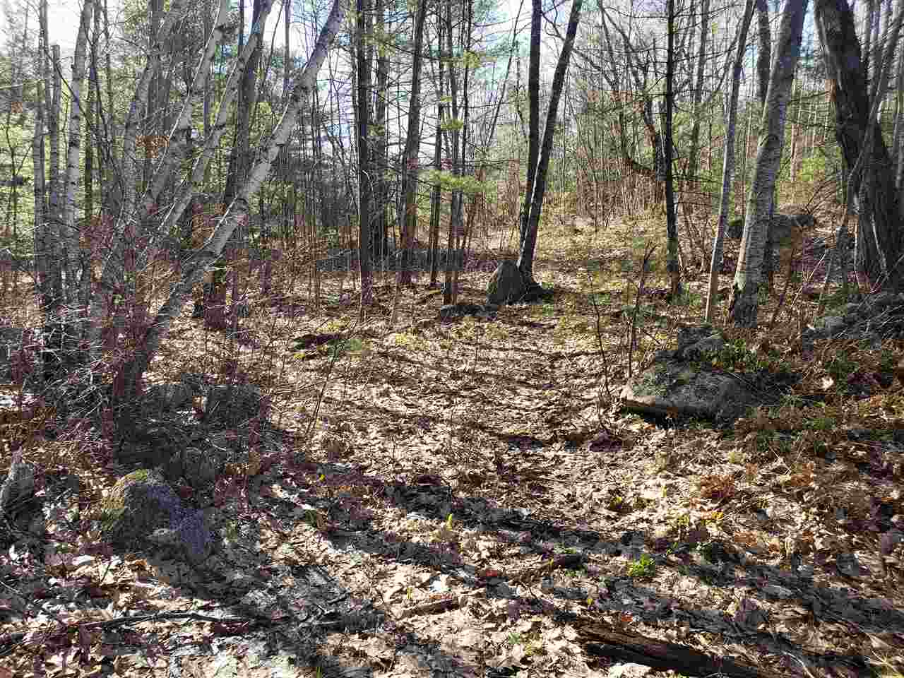 30 Little Pond Road Sandwich, NH 03227 - Photo 8 of 10