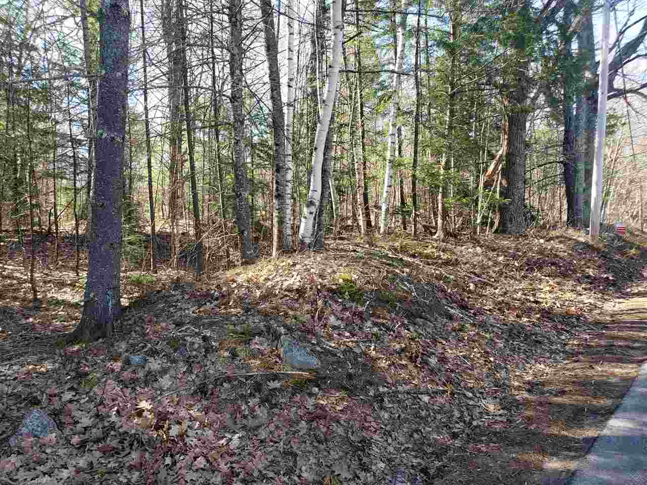 30 Little Pond Road Sandwich, NH 03227 - Photo 10 of 10