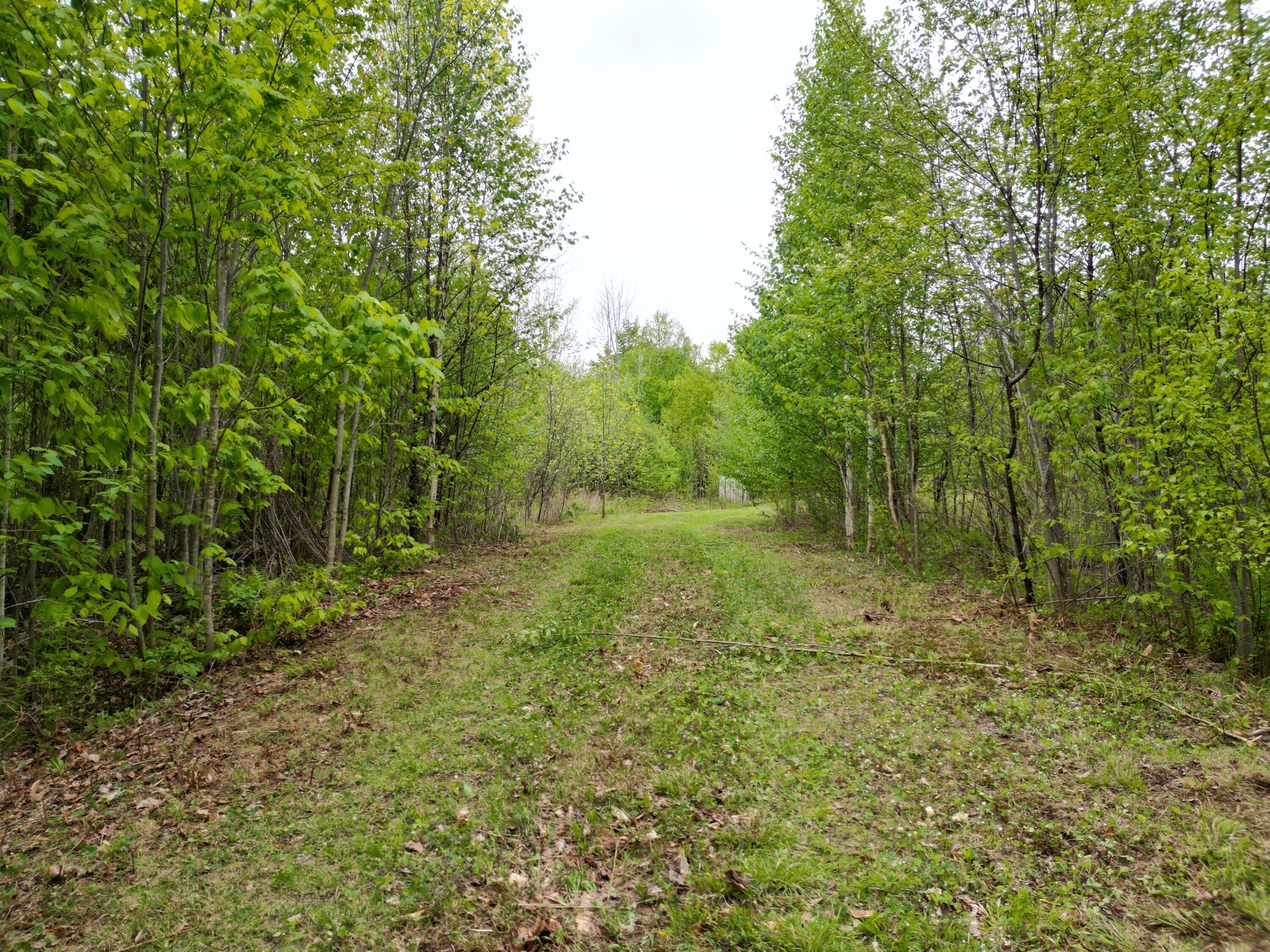 Lot 8-2 Dill Valley Road Lakeville, ME 04487 - Photo 7 of 21 DJI_0915