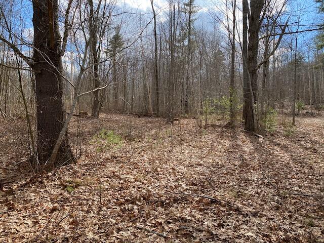 0 Academy Hill Road Newcastle, ME 04553 - Photo 12 of 14 IMG_2956