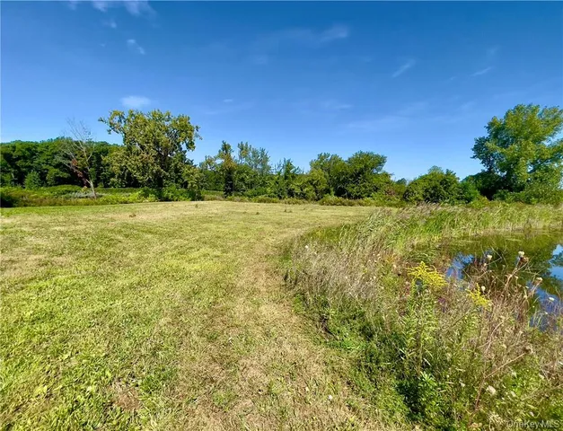 a view of yard with trees and grass
