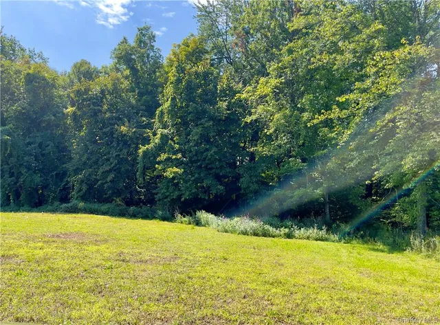 a view of a swimming pool and a yard