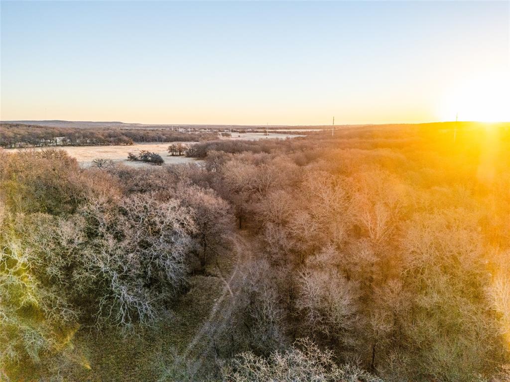 Tbd Coca Cola Ranch Road Jacksboro, TX 76458 - Photo 9 of 20