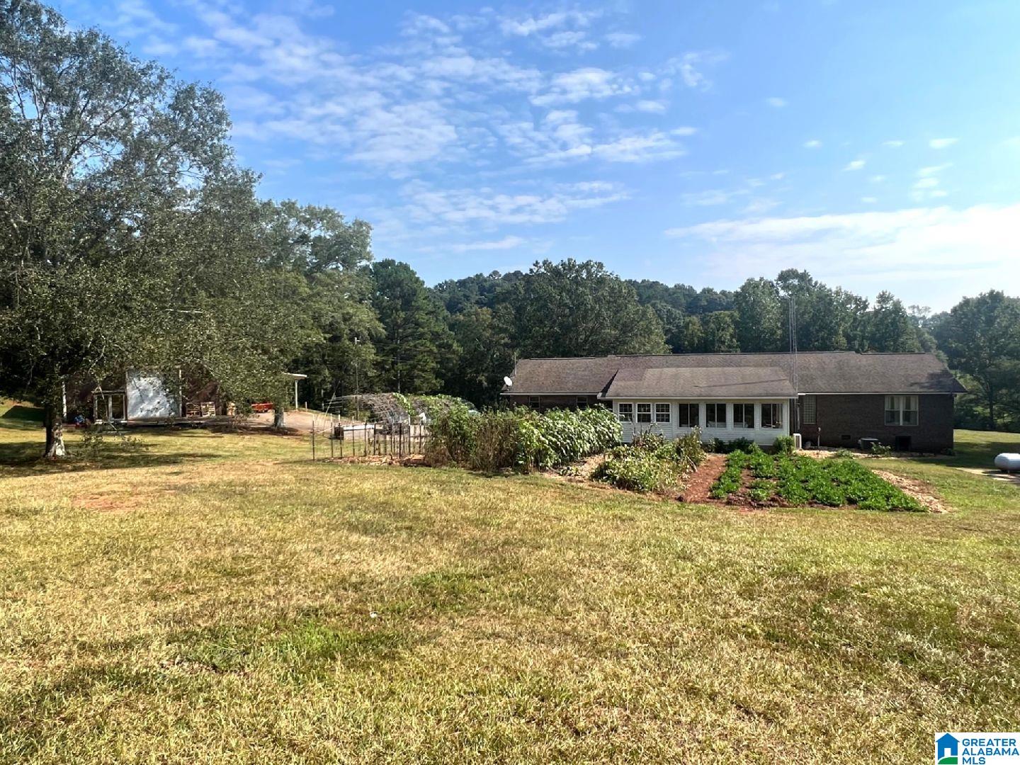 254 Summerlin Circle Delta, AL 36258 - Photo 47 of 55