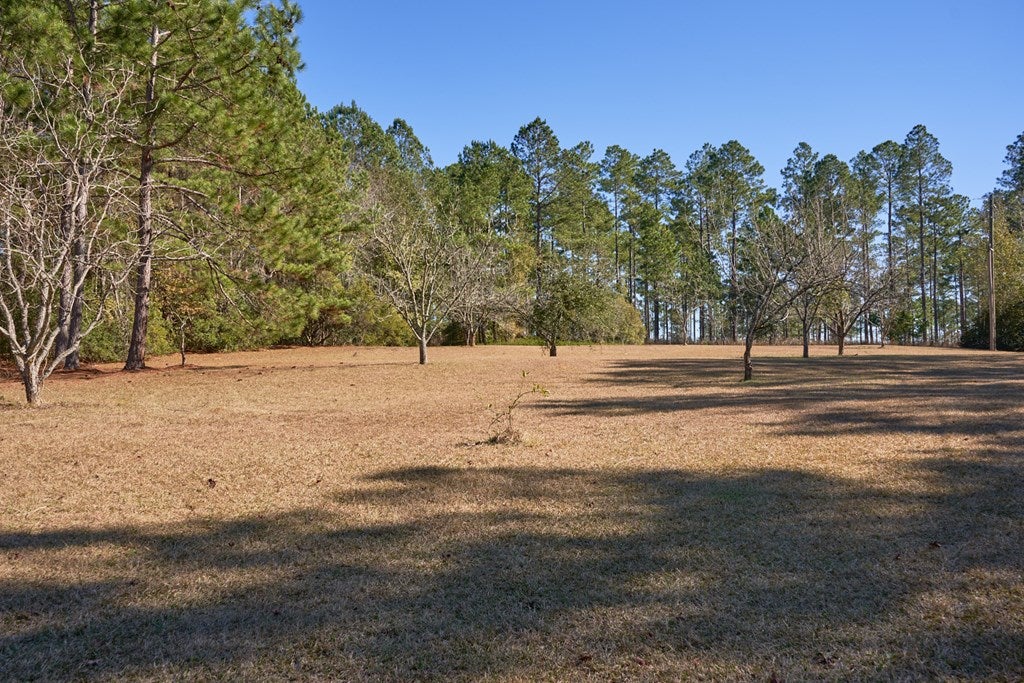 328 Moore Pond Road Quitman, GA 31643 - Photo 44 of 48 Gallery Image 44