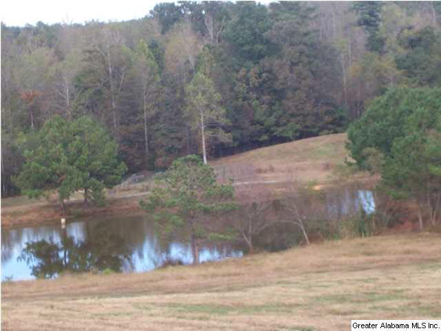 1776 County Road 96 Heflin, AL 36264 - Photo 30 of 31