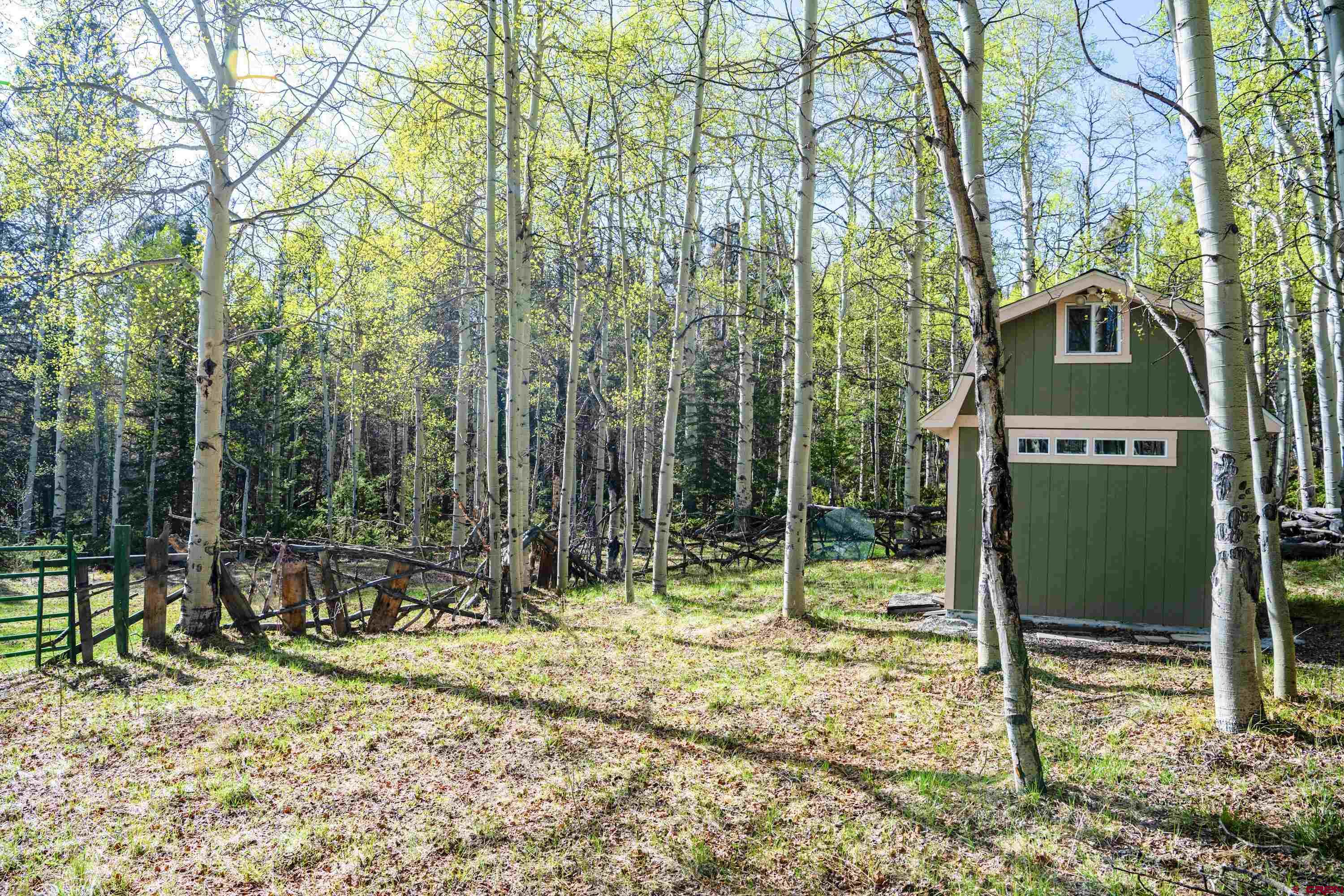 Tbd Tbd Armitage Springs Road Powderhorn, CO 81243 - Photo 11 of 22 Gallery Image 11