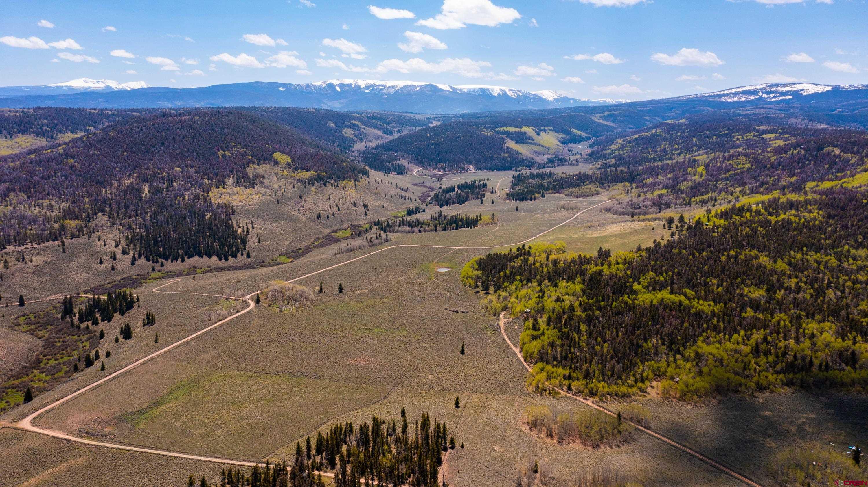Tbd Tbd Armitage Springs Road Powderhorn, CO 81243 - Photo 13 of 22 Gallery Image 13