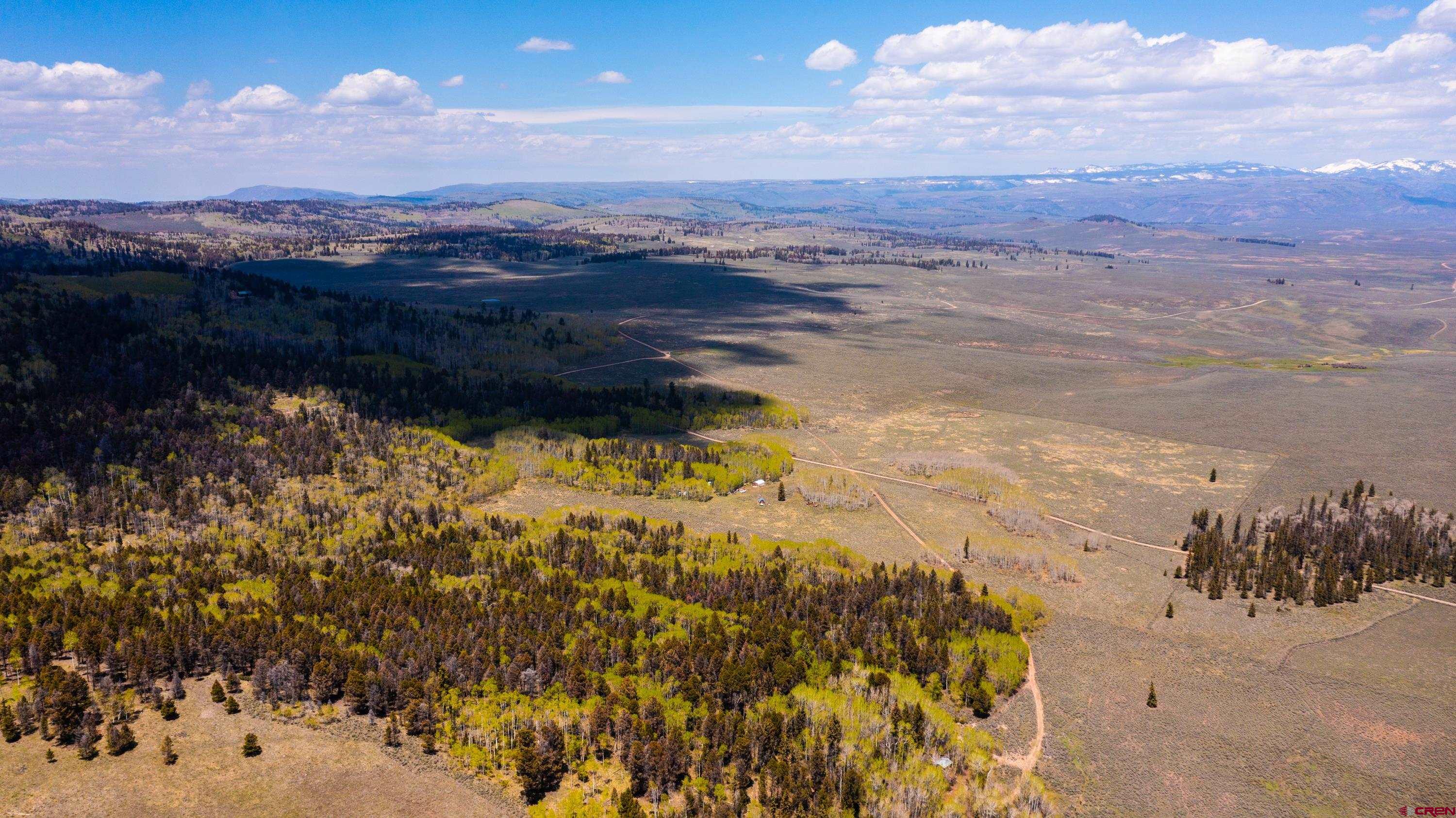 Tbd Tbd Armitage Springs Road Powderhorn, CO 81243 - Photo 14 of 22 Gallery Image 14